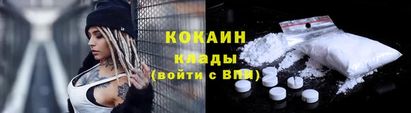 амф Новодвинск