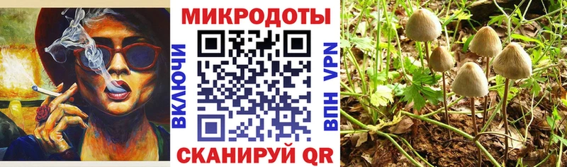 где можно купить наркотик  Ковылкино  Галлюциногенные грибы прущие грибы 